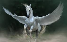 pegasus