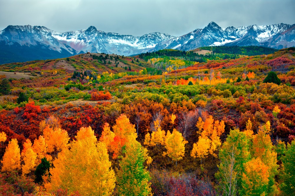colorado-fall-aspen